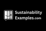 Image of SustainabilityExamples.com logo on ProductMarketing.ie