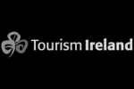 Picture of Tourism Ireland Logo on ProductMarketing.ie